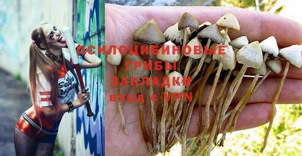 твердый Волосово